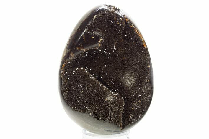 Septarian Dragon Egg Geode - Sparkly Black Crystals #329491
